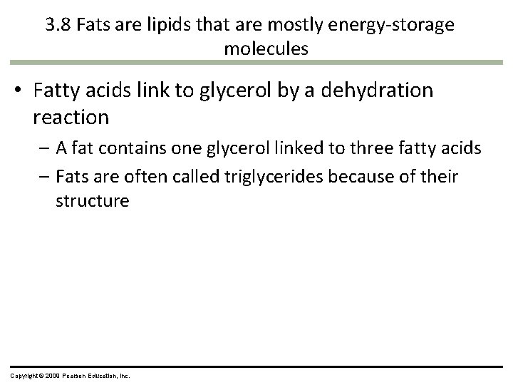 3. 8 Fats are lipids that are mostly energy-storage molecules • Fatty acids link