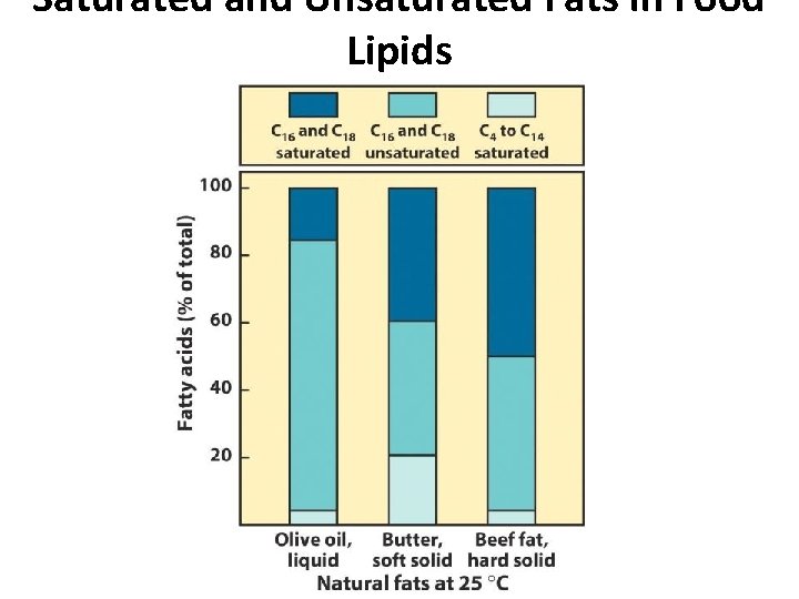 Saturated and Unsaturated Fats in Food Lipids Saturated and Unsaturated Fats in Food Lipids