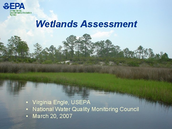 Wetlands Assessment • Virginia Engle, USEPA • National Water Quality Monitoring Council • March