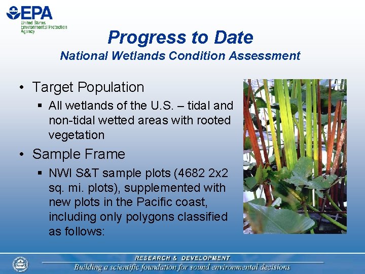 Progress to Date National Wetlands Condition Assessment • Target Population § All wetlands of