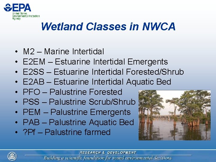 Wetland Classes in NWCA • • • M 2 – Marine Intertidal E 2