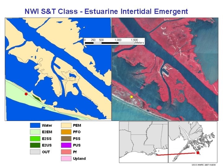 NWI S&T Class - Estuarine Intertidal Emergent 