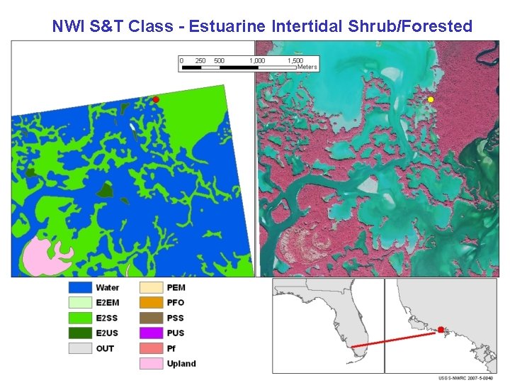 NWI S&T Class - Estuarine Intertidal Shrub/Forested 