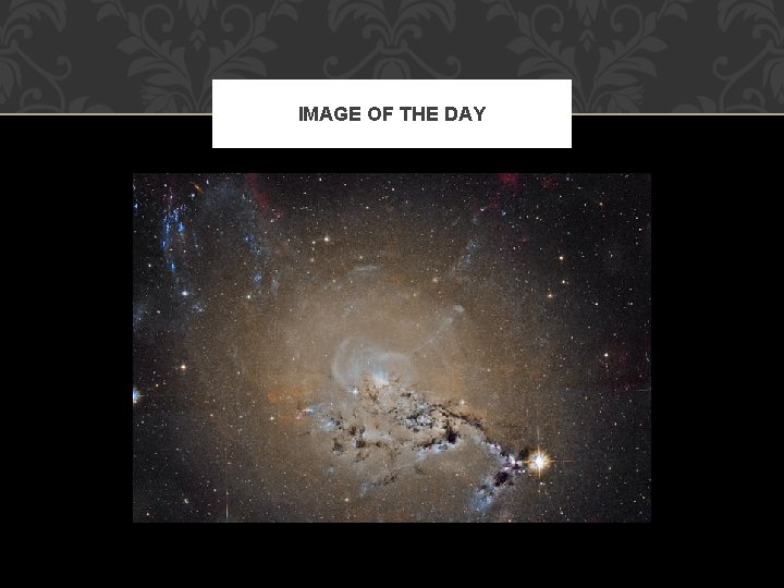 IMAGE OF THE DAY 