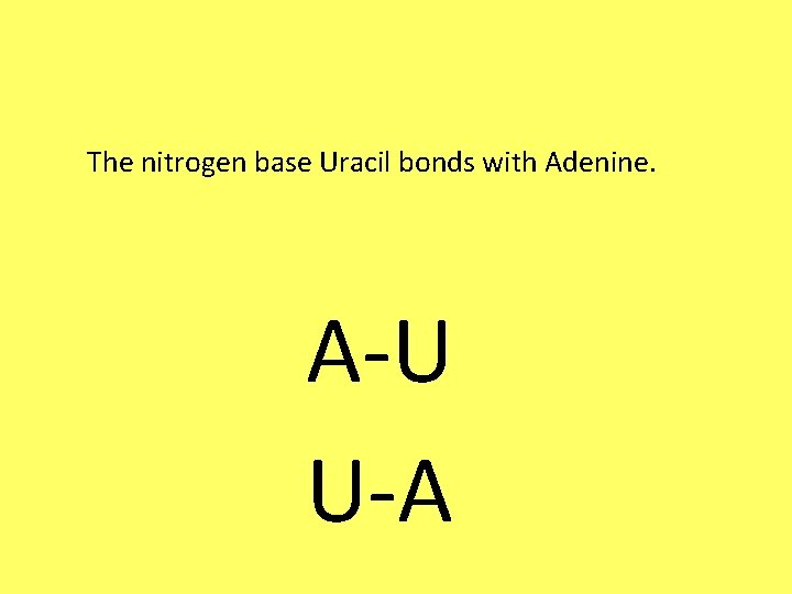 The nitrogen base Uracil bonds with Adenine. A-U U-A 