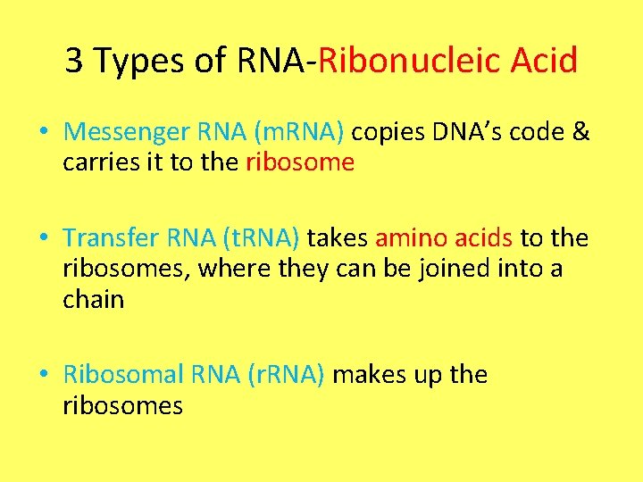 3 Types of RNA-Ribonucleic Acid • Messenger RNA (m. RNA) copies DNA’s code &