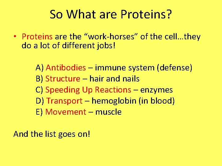 So What are Proteins? • Proteins are the “work-horses” of the cell…they do a