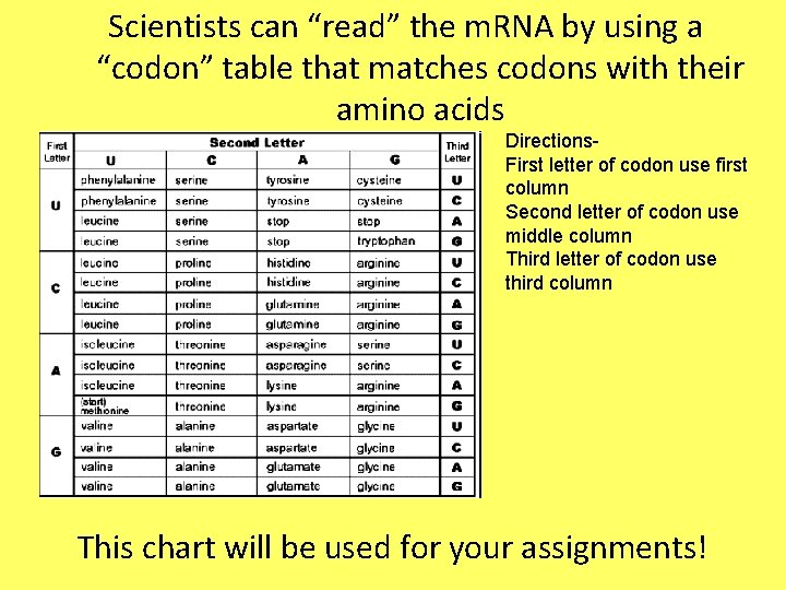 Scientists can “read” the m. RNA by using a “codon” table that matches codons