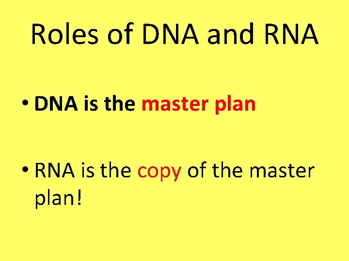 Roles of DNA and RNA • DNA is the master plan • RNA is