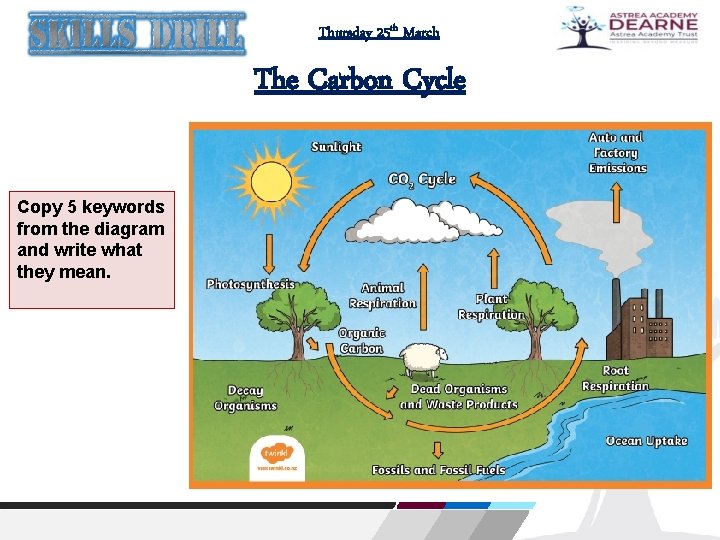Thursday 25 th March The Carbon Cycle Copy 5 keywords from the diagram and