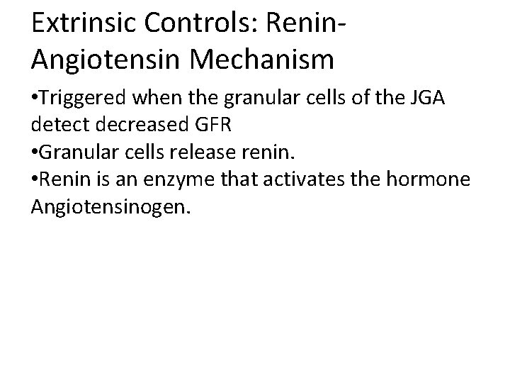 Extrinsic Controls: Renin. Angiotensin Mechanism • Triggered when the granular cells of the JGA Extrinsic Controls: Renin. Angiotensin Mechanism • Triggered when the granular cells of the JGA