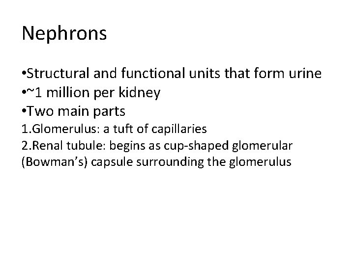 Nephrons • Structural and functional units that form urine • ~1 million per kidney Nephrons • Structural and functional units that form urine • ~1 million per kidney