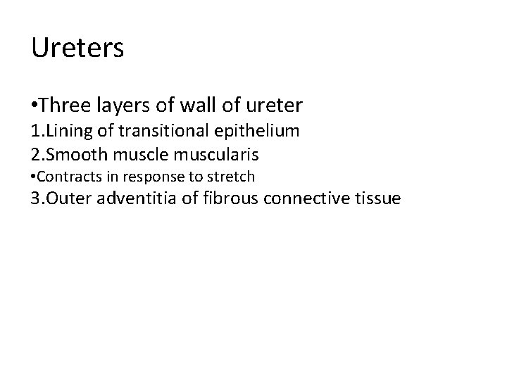 Ureters • Three layers of wall of ureter 1. Lining of transitional epithelium 2. Ureters • Three layers of wall of ureter 1. Lining of transitional epithelium 2.