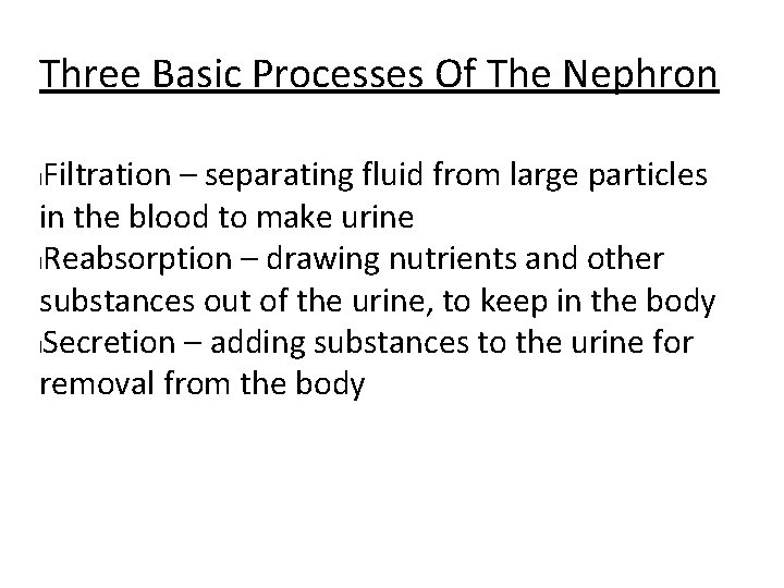 Three Basic Processes Of The Nephron Filtration – separating fluid from large particles in Three Basic Processes Of The Nephron Filtration – separating fluid from large particles in