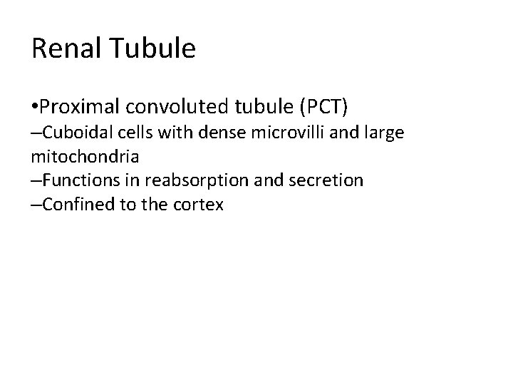 Renal Tubule • Proximal convoluted tubule (PCT) –Cuboidal cells with dense microvilli and large Renal Tubule • Proximal convoluted tubule (PCT) –Cuboidal cells with dense microvilli and large