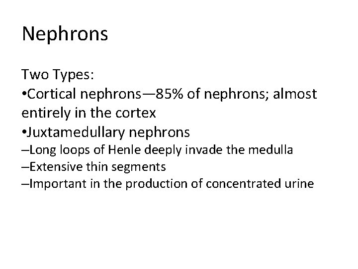 Nephrons Two Types: • Cortical nephrons— 85% of nephrons; almost entirely in the cortex Nephrons Two Types: • Cortical nephrons— 85% of nephrons; almost entirely in the cortex