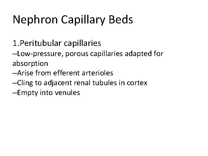 Nephron Capillary Beds 1. Peritubular capillaries –Low-pressure, porous capillaries adapted for absorption –Arise from Nephron Capillary Beds 1. Peritubular capillaries –Low-pressure, porous capillaries adapted for absorption –Arise from