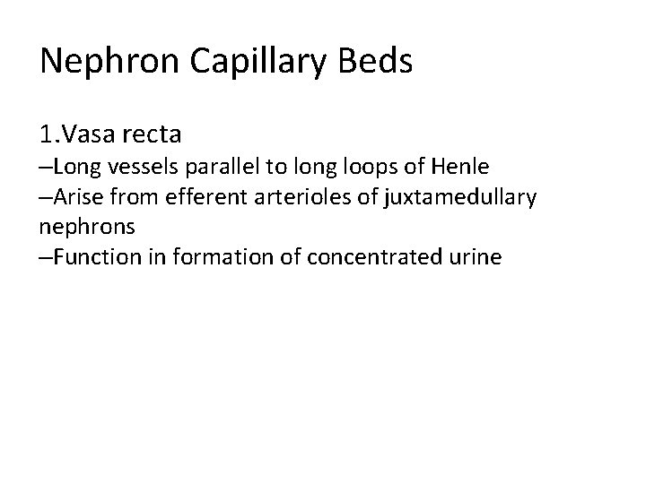 Nephron Capillary Beds 1. Vasa recta –Long vessels parallel to long loops of Henle Nephron Capillary Beds 1. Vasa recta –Long vessels parallel to long loops of Henle