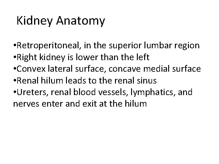 Kidney Anatomy • Retroperitoneal, in the superior lumbar region • Right kidney is lower Kidney Anatomy • Retroperitoneal, in the superior lumbar region • Right kidney is lower