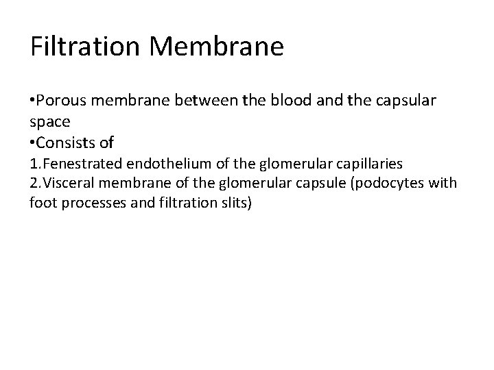 Filtration Membrane • Porous membrane between the blood and the capsular space • Consists Filtration Membrane • Porous membrane between the blood and the capsular space • Consists
