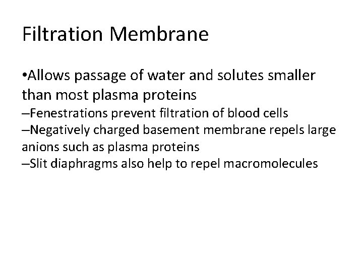Filtration Membrane • Allows passage of water and solutes smaller than most plasma proteins Filtration Membrane • Allows passage of water and solutes smaller than most plasma proteins
