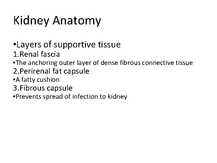 Kidney Anatomy • Layers of supportive tissue 1. Renal fascia • The anchoring outer Kidney Anatomy • Layers of supportive tissue 1. Renal fascia • The anchoring outer