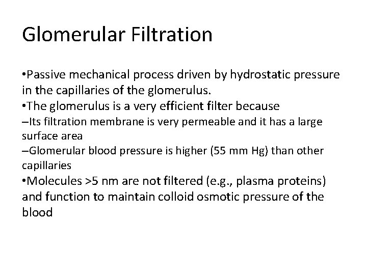 Glomerular Filtration • Passive mechanical process driven by hydrostatic pressure in the capillaries of Glomerular Filtration • Passive mechanical process driven by hydrostatic pressure in the capillaries of