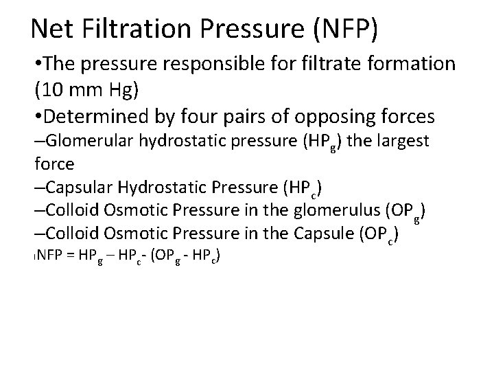 Net Filtration Pressure (NFP) • The pressure responsible for filtrate formation (10 mm Hg) Net Filtration Pressure (NFP) • The pressure responsible for filtrate formation (10 mm Hg)