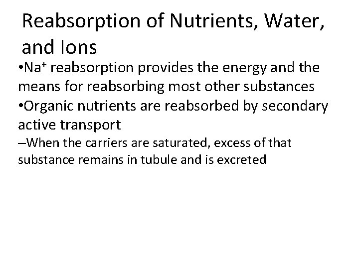 Reabsorption of Nutrients, Water, and Ions • Na+ reabsorption provides the energy and the Reabsorption of Nutrients, Water, and Ions • Na+ reabsorption provides the energy and the