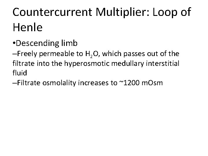 Countercurrent Multiplier: Loop of Henle • Descending limb –Freely permeable to H 2 O, Countercurrent Multiplier: Loop of Henle • Descending limb –Freely permeable to H 2 O,