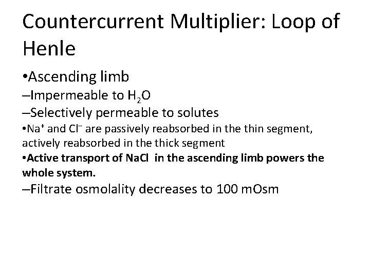 Countercurrent Multiplier: Loop of Henle • Ascending limb –Impermeable to H 2 O –Selectively Countercurrent Multiplier: Loop of Henle • Ascending limb –Impermeable to H 2 O –Selectively