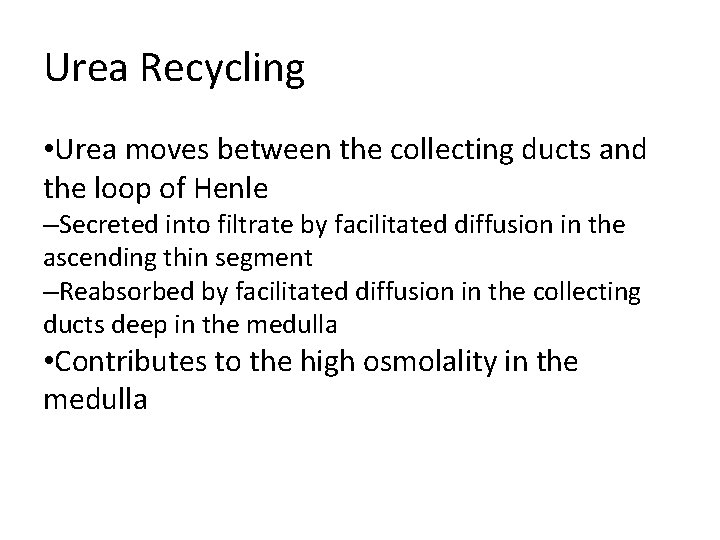 Urea Recycling • Urea moves between the collecting ducts and the loop of Henle Urea Recycling • Urea moves between the collecting ducts and the loop of Henle