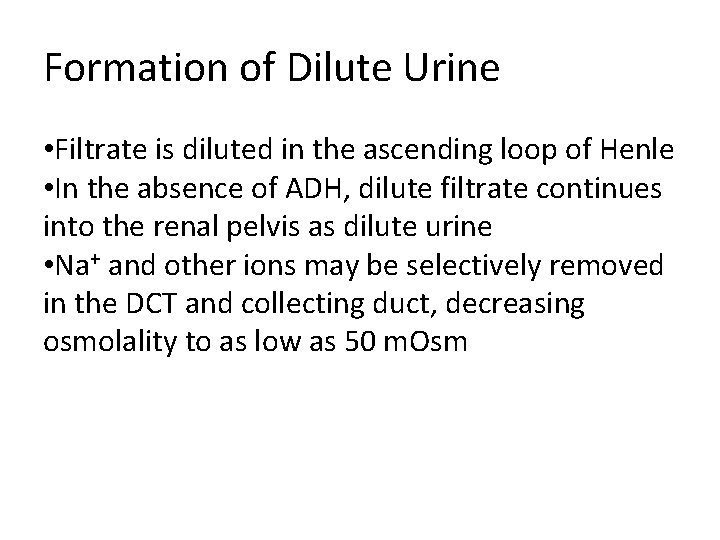 Formation of Dilute Urine • Filtrate is diluted in the ascending loop of Henle Formation of Dilute Urine • Filtrate is diluted in the ascending loop of Henle