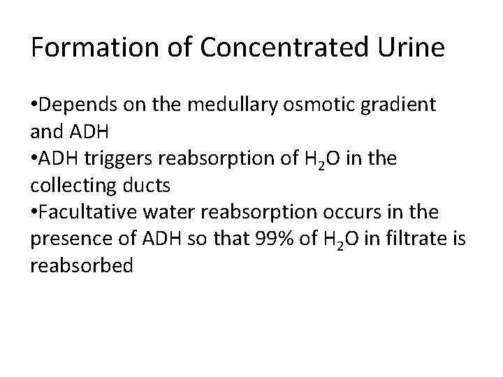 Formation of Concentrated Urine • Depends on the medullary osmotic gradient and ADH • Formation of Concentrated Urine • Depends on the medullary osmotic gradient and ADH •