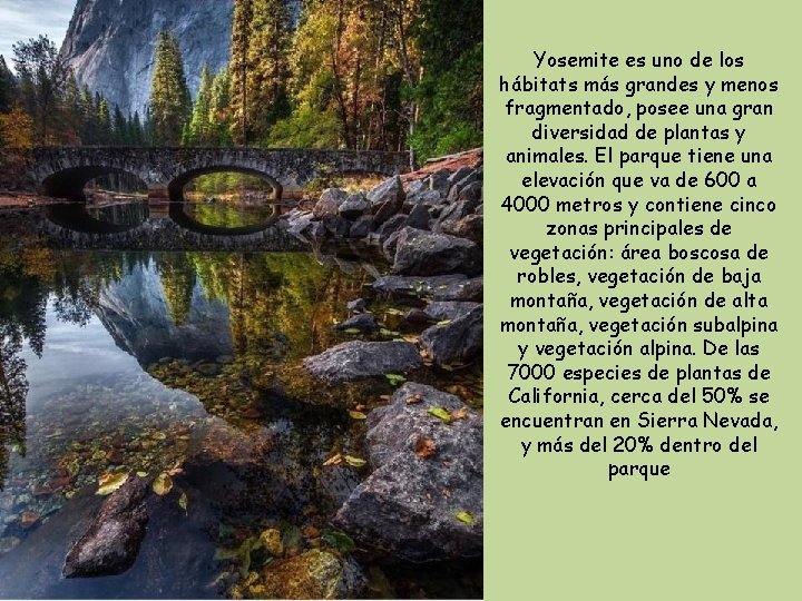 Yosemite es uno de los hábitats más grandes y menos fragmentado, posee una gran