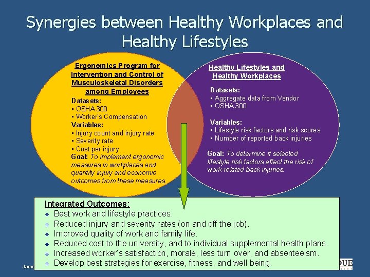 Synergies between Healthy Workplaces and Healthy Lifestyles Ergonomics Program for Intervention and Control of