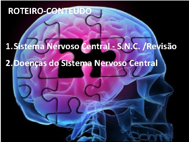 ROTEIRO-CONTEÚDO 1. Sistema Nervoso Central - S. N. C. /Revisão 2. Doenças do Sistema