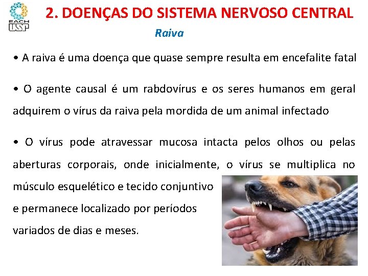 Ciências, 8º ano Sistema nervoso e as principais doenças 2. DOENÇAS DO SISTEMA NERVOSO