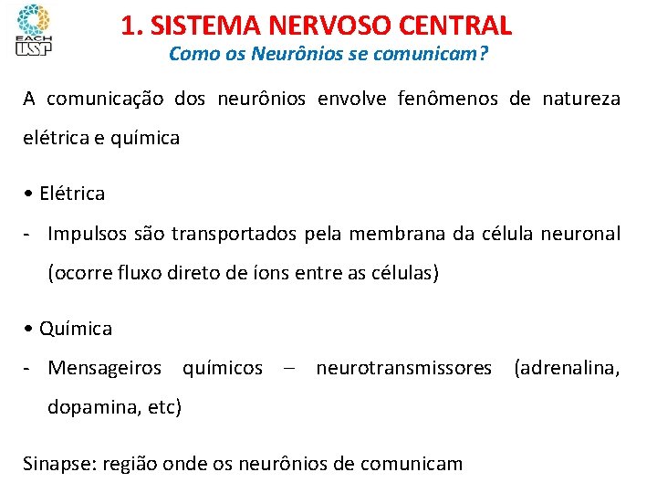 Ciências, 8º ano Sistema nervoso e as principais doenças 1. SISTEMA NERVOSO CENTRAL Como