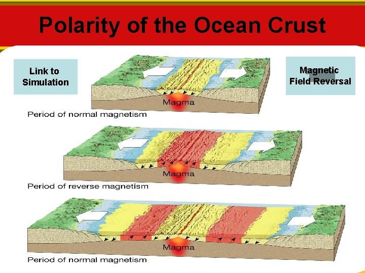 Polarity of the Ocean Crust Link to Simulation Magnetic Field Reversal 