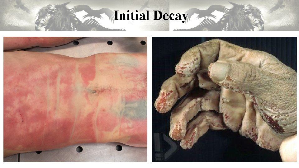 Initial Decay Initial Decay