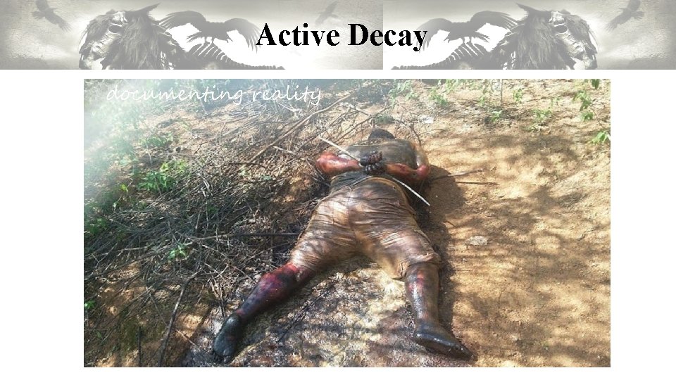 Active Decay Active Decay