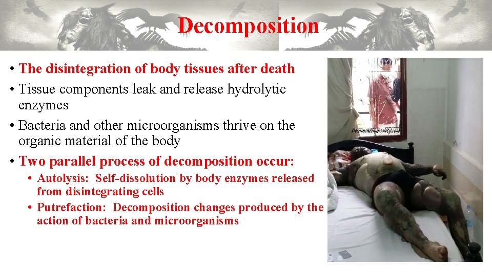 Decomposition • The disintegration of body tissues after death • Tissue components leak and Decomposition • The disintegration of body tissues after death • Tissue components leak and
