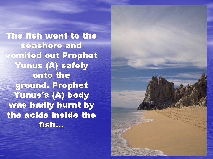 The fish went to the seashore and vomited out Prophet Yunus (A) safely onto