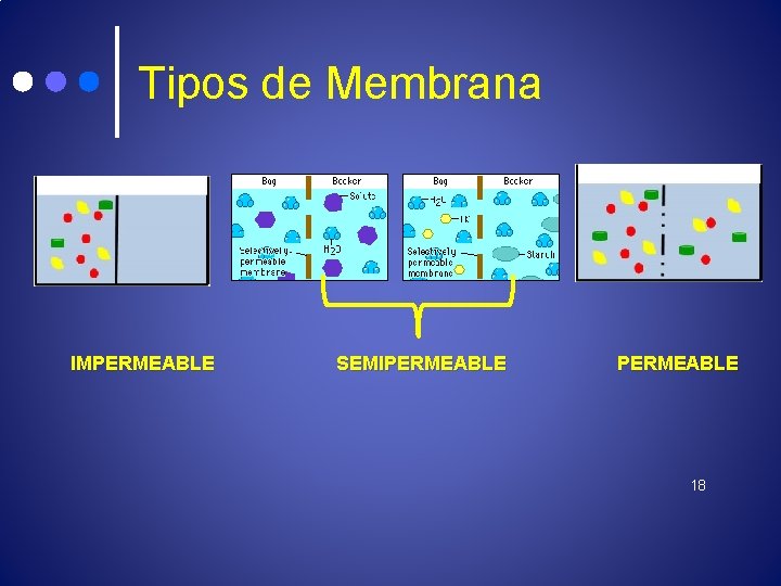 Tipos de Membrana IMPERMEABLE SEMIPERMEABLE 18 