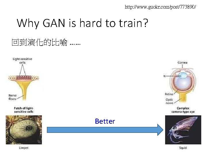 http: //www. guokr. com/post/773890/ Why GAN is hard to train? 回到演化的比喻 …… Better 
