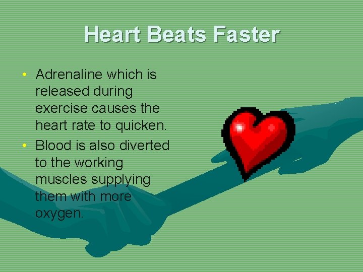 Heart Beats Faster • Adrenaline which is released during exercise causes the heart rate