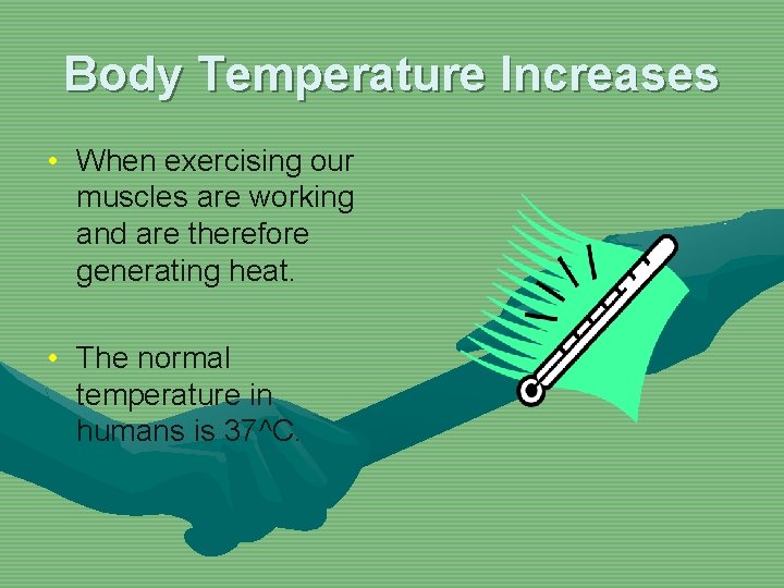 Body Temperature Increases • When exercising our muscles are working and are therefore generating