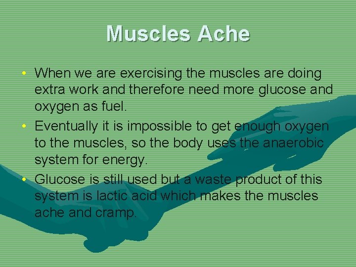 Muscles Ache • When we are exercising the muscles are doing extra work and