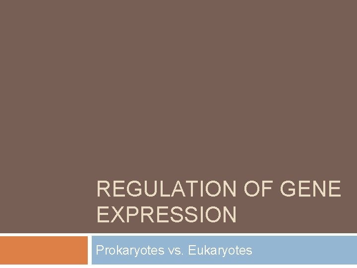 REGULATION OF GENE EXPRESSION Prokaryotes vs. Eukaryotes 